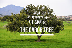 Harvesting the carob tree -SO COOL